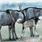 Gnus
